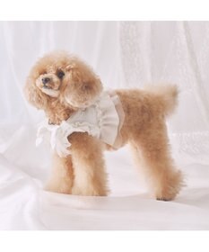 PET PARADISE cherircouture フリフリハーネス 《ホワイト》 小型犬 ４Ｓ/３Ｓ