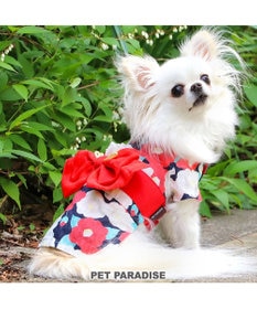 犬の服 夏 犬服 浴衣 椿柄 赤 【小型犬】 / PET PARADISE | 【通販