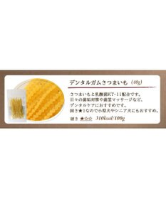 PET PARADISE 【賞味期限が1/1のため 半額】 デリスタイル デンタルガムさつまいも