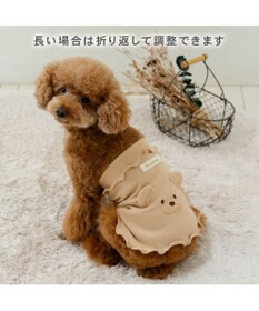 わた♡おと♡くま | ワンまるプチ 2024秋🍂 腹巻き巻いたら