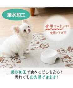 PET PARADISE スヌーピー マルチマット 《兄弟柄》 ８枚入り