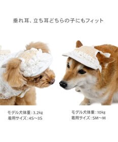 PET PARADISE ペットパラダイス フリル キャップ ＳＭ～Ｍ/Ｌ