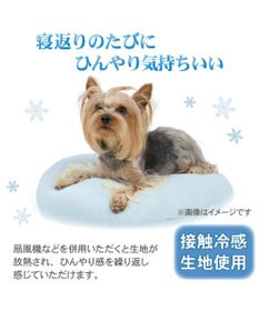 PET PARADISE ディズニー ドナルドダック 浮き輪 カドラー Ｍ