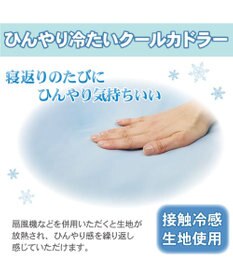 PET PARADISE ペットパラダイス クールカドラー 角型《いちご&お花柄》 小型犬