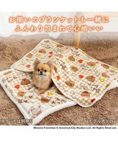 PET PARADISE ミニオン 遠赤外線 ボアマット 《ちどり柄》