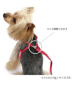 PET PARADISE ペットパラダイス ハーネス&リード  スカラップカラー《いちご柄 》 S 小型犬