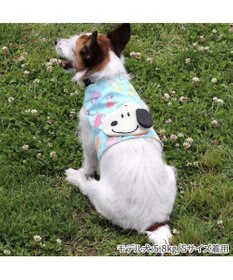 PET PARADISE スヌーピー クールベスト 《果物柄》 小型犬