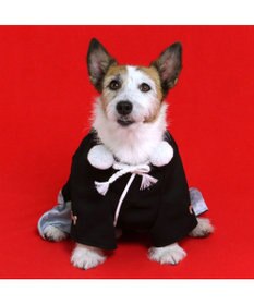 PET PARADISE ペットパラダイス 金糸紋付き袴 小型犬