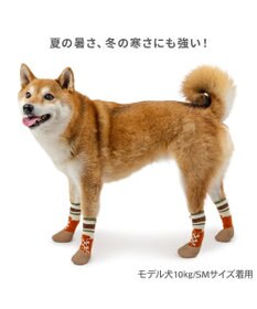 PET PARADISE ペットパラダイス ボーダー フィット靴 ＳＭ