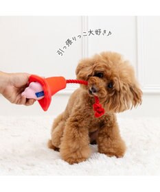 PET PARADISE ディズニー トイ・ストーリー ハム コーントイ