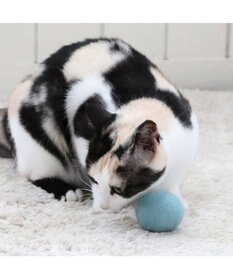 PET PARADISE ペットパラダイス 猫 羊毛 ボール 【単品】