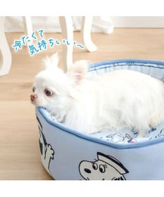 PET PARADISE スヌーピー クールカップ 《ブラザーズ》 Ｓ
