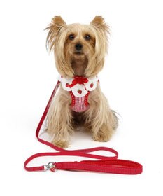 PET PARADISE ペットパラダイス ハーネス&リード  スカラップカラー《いちご柄 》 S 小型犬