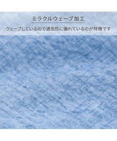 PET PARADISE J.PRESS 杢 ウェーブシャツ 《水色》 小型犬