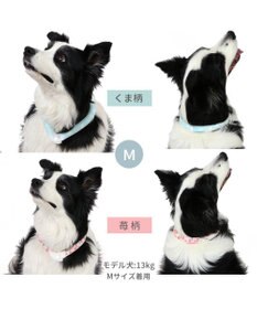 PET PARADISE ペットパラダイス 28℃クールリング SUO 《くま柄》 〔Ｍ〕 中型犬