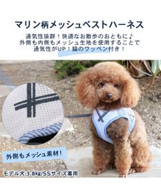 PET PARADISE 犬 ハーネス メッシュ ベスト ハーネス 【SS】 小花柄/マリン