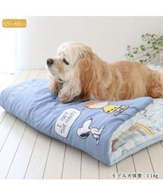 PET PARADISE スヌーピー クール ロールマット 《サマータイム柄》 中型犬 大型犬