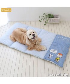 PET PARADISE スヌーピー クール ロールマット 《サマータイム柄》 中型犬 大型犬