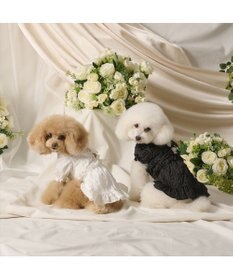 PET PARADISE cherircouture フリルリボン ワンピース 《ホワイト》 小型犬