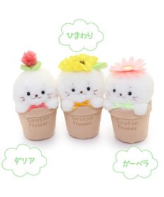 Mother garden しろたん フラワー マスコット8.5cm 《ダリア / ひまわり / ガーベラ 》 単品