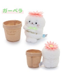 Mother garden しろたん フラワー マスコット8.5cm 《ダリア / ひまわり / ガーベラ 》 単品