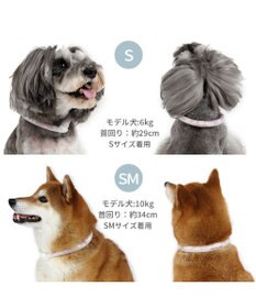 PET PARADISE ペットパラダイス 28℃クールリング  《くま》 SM 中型犬