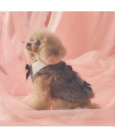PET PARADISE cherircouture メニーリボンファーベスト 《グレー》 小型犬