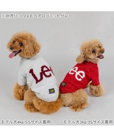 PET PARADISE Lee モヘア ロゴニット 《レッド》 小型犬
