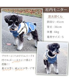 PET PARADISE ペットパラダイス ふりふり アウターハーネス 小型犬
