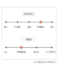 PET PARADISE ミニオン パーカー ボブ 小型犬