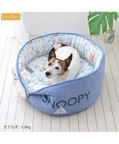 PET PARADISE スヌーピー クール カドラー カップ型 《サマータイム柄》 小型犬