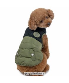 犬王　JJ 価格の安いMIX犬 ♂ (父）トイプードル×（母）ロング・チワワ