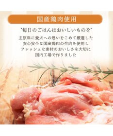 PET PARADISE ≪配合リニューアル≫  ペットパラダイス 国産 ドッグフード ビオキッチン 1kg & フローラ 1kg