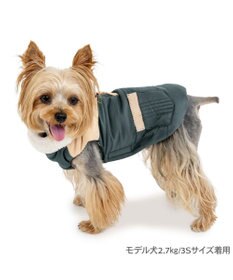 PET PARADISE ペットパラダイス 保温 エアベスト グリーン 小型犬