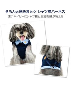 PET PARADISE ペットパラダイス 襟付きベストハーネス S