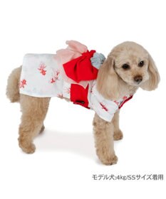 ペットパラダイス 浴衣 《遊泳金魚》 小型犬 / PET PARADISE