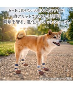PET PARADISE ペットパラダイス スポーティー シューズ Ｍ
