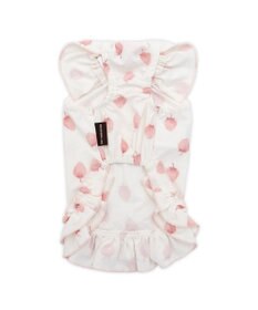 PET PARADISE ペットパラダイス タッチワンクールプラス Tシャツ 《いちご》 中型犬 大型犬