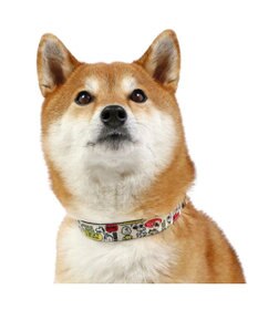 PET PARADISE スヌーピー 首輪  《ペア柄》 Ｍ