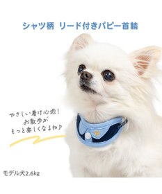 PET PARADISE ペットパラダイス リード付き首輪 《シャツ》 小型犬