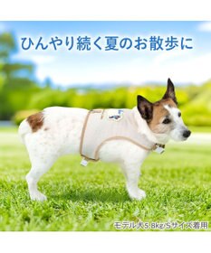 PET PARADISE リサとガスパール 保冷剤付き クール ハーネス 《シトラス柄》 ３Ｓ 小型犬