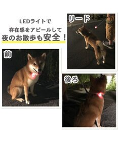PET PARADISE 犬 散歩 夜 光る スヌーピー LED お散歩ライト