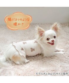 PET PARADISE ペットパラダイス くまちゃん ペティヒート 天竺 腹巻 小型犬