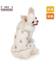 PET PARADISE ペットパラダイス くまちゃん ペティヒート 天竺 腹巻 小型犬