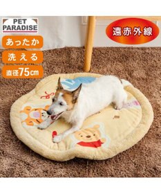 PET PARADISE ディズニー くまのプーさん 遠赤外線 マット
