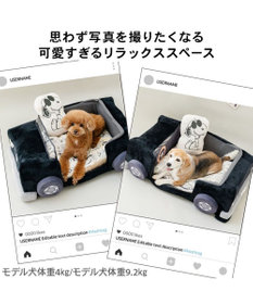 PET PARADISE 【8月中旬お届け予定】スヌーピー マイカーカドラー （71×47cm） Ｍ 小型犬