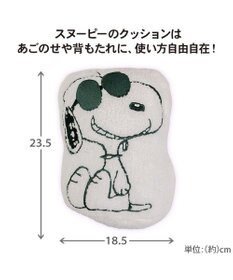 PET PARADISE 【8月中旬お届け予定】スヌーピー マイカーカドラー （71×47cm） Ｍ 小型犬