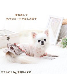 PET PARADISE ペットパラダイス フリフリ サニタリーパンツ 小型犬