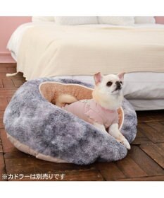 PET PARADISE ペットパラダイス リボン プレミアム ペティヒート Ｔシャツ 超小型犬 小型犬