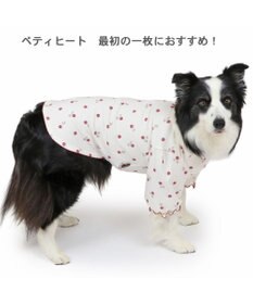 PET PARADISE ペットパラダイス ペティヒート Tシャツ 《苺柄》 中型犬 大型犬